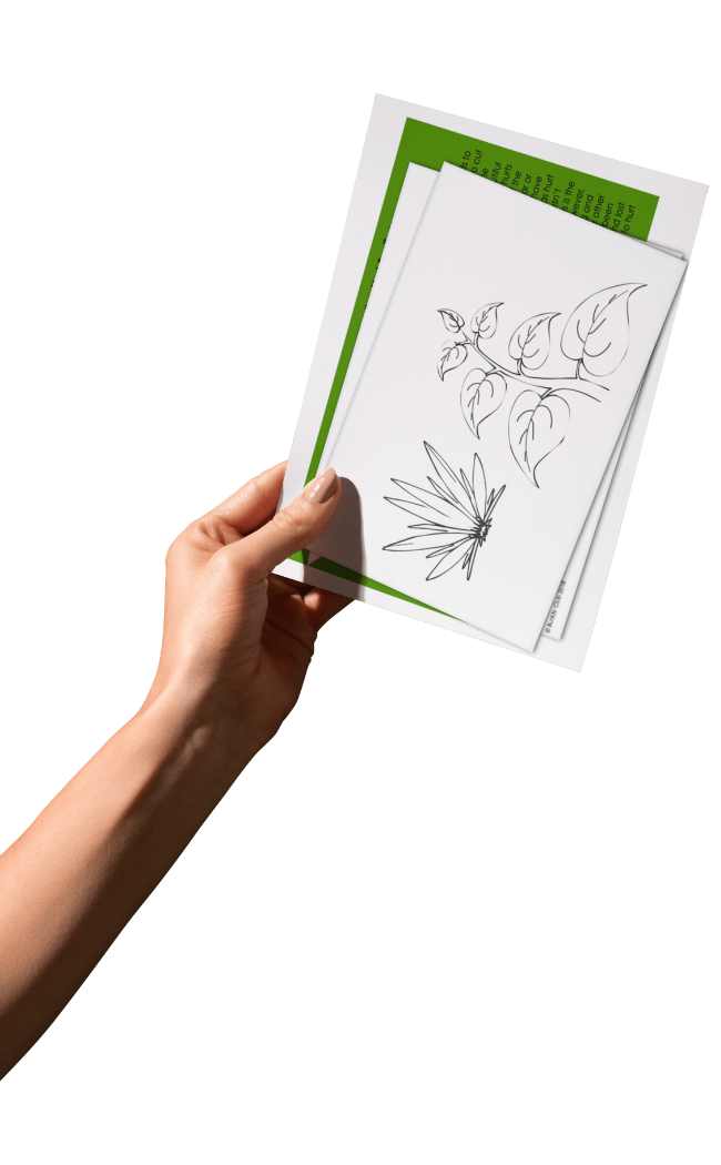 Faces & Feelings: SP: 5. Weeding Hurt Feelings Template - Activity